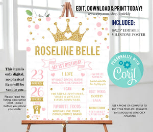 Princess Milestone Birthday Poster Sign, EDITABLE Pink and gold First Birthday Chalkboard, Stats Board First Year Poster Instant download