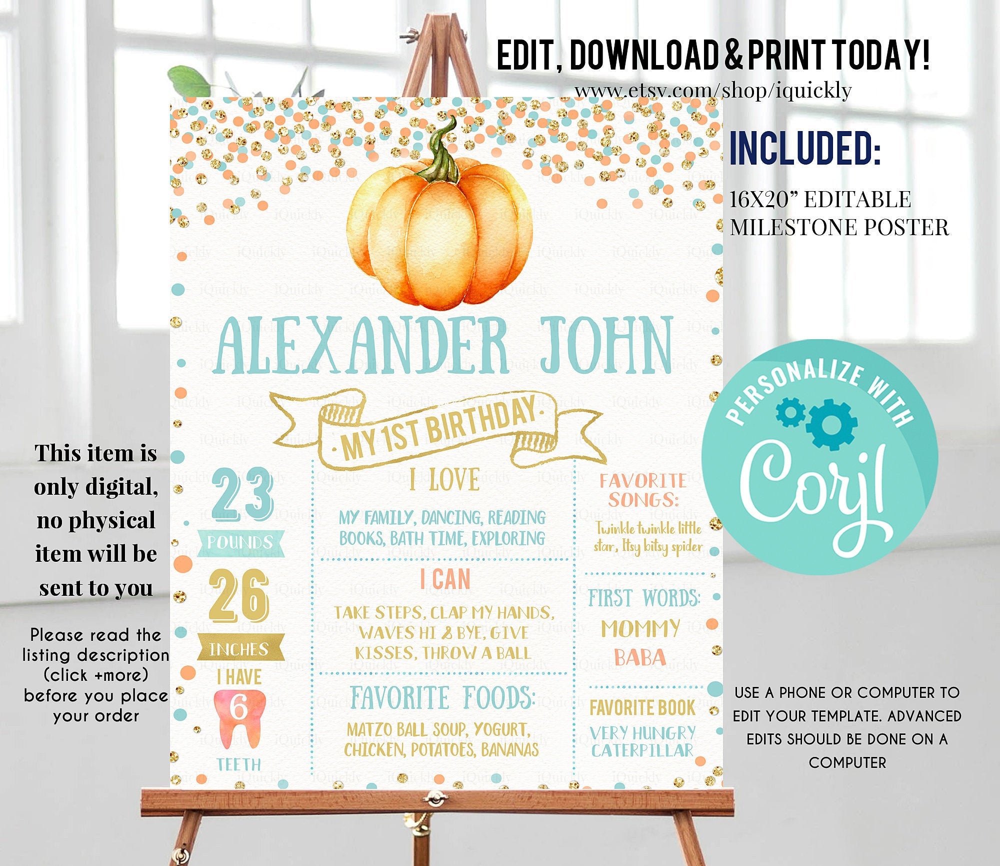 Pumpkin Milestone Birthday Poster, EDITABLE Boy First Chalkboard sign, Fall Pink and blue 1st birthday poster Instant download template