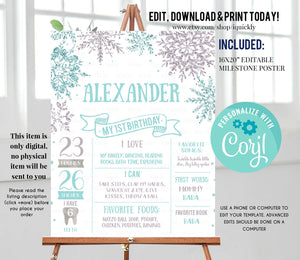 Winter Onederland Milestone Birthday Poster, EDITABLE Snowflakes First Birthday Chalkboard sign, Blue silver 1st birthday poster download